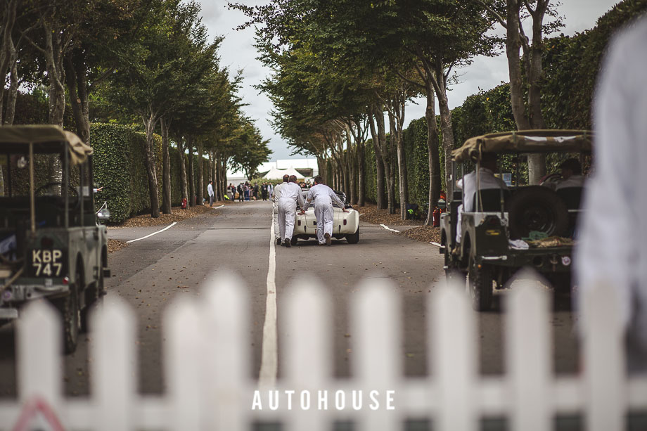 GOODWOOD REVIVAL 2015 (392 of 687)