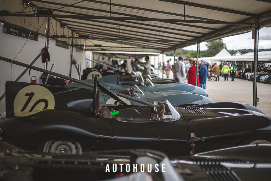 JAGUAR D-TYPE at GODWOOD REVIVAL (18 of 18)