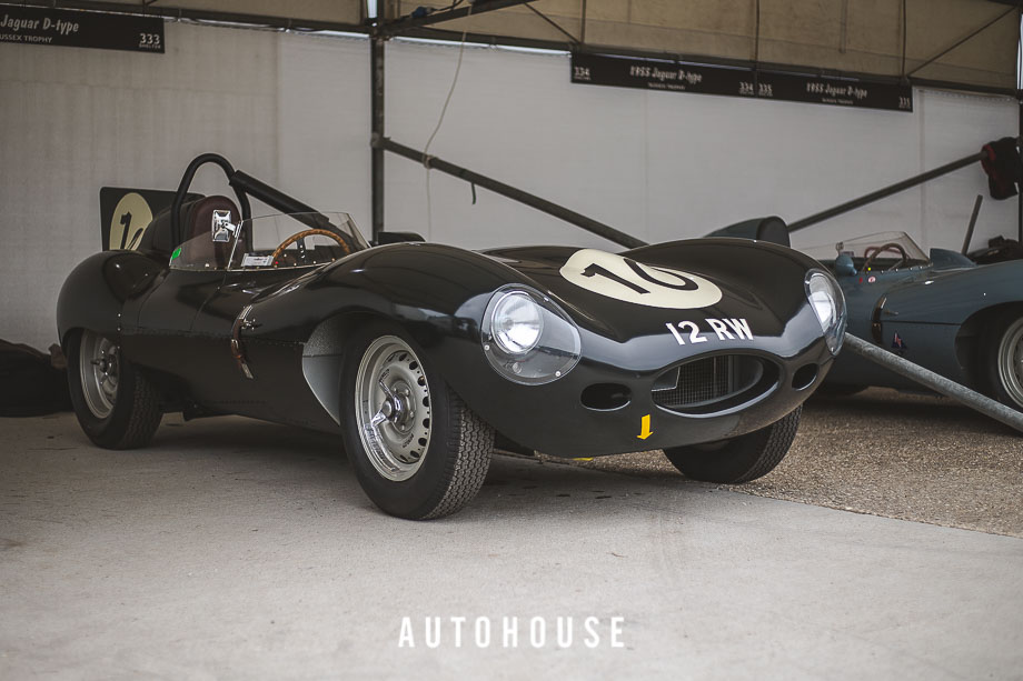 JAGUAR D-TYPE at GODWOOD REVIVAL (2 of 18)