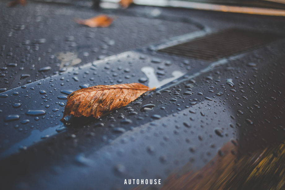 11th Sunday Scramble (20 of 403)