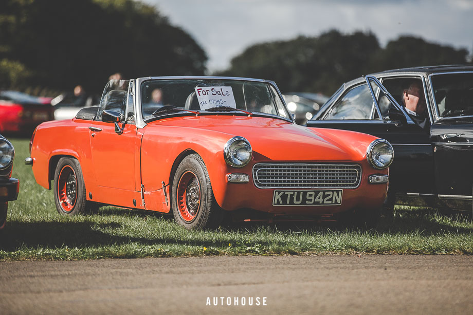 11th Sunday Scramble (261 of 403)